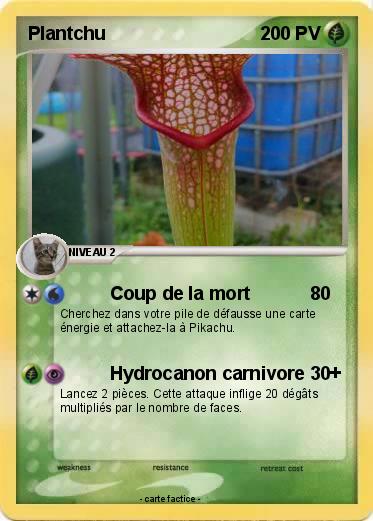 Pokemon Plantchu