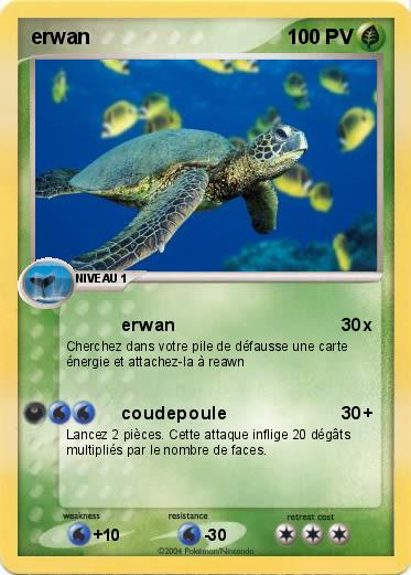 Pokemon erwan