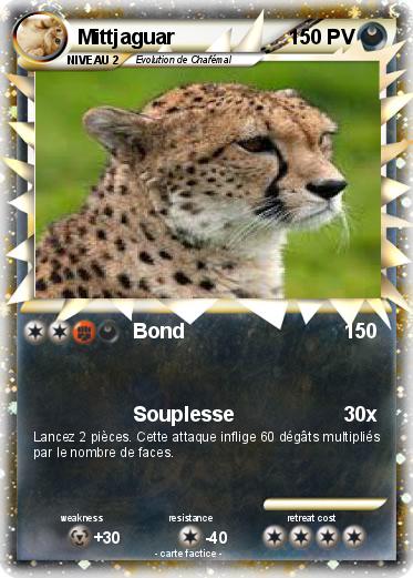 Pokemon Mittjaguar
