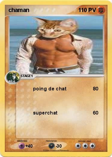 Pokemon chaman