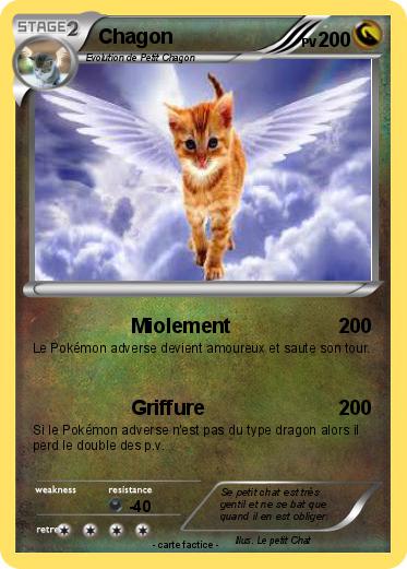 Pokemon Chagon