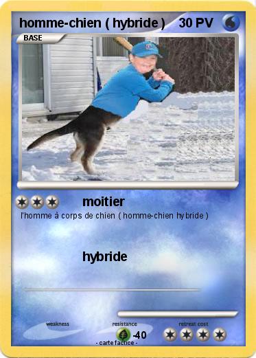Pokemon homme-chien ( hybride )