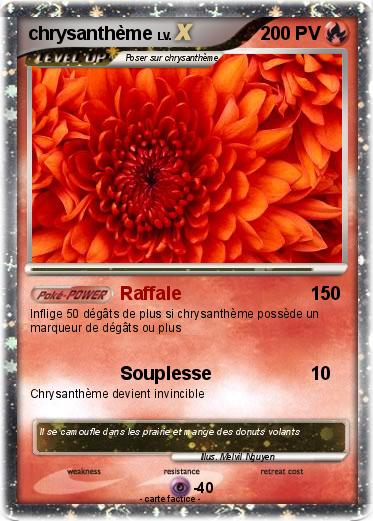 Pokemon chrysanthème