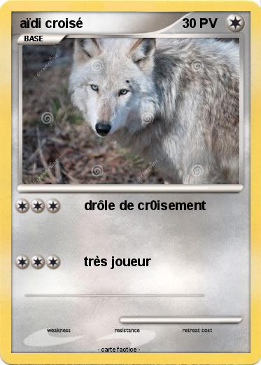 Pokemon aïdi croisé