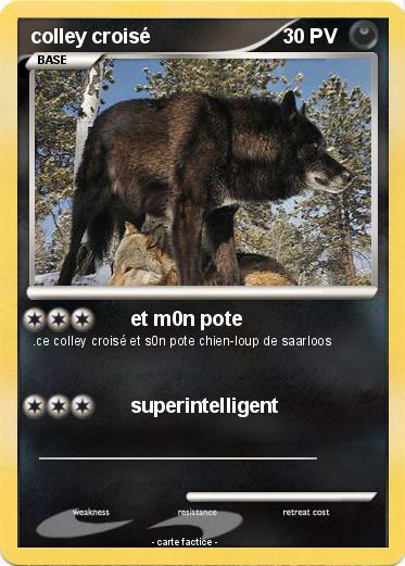 Pokemon colley croisé