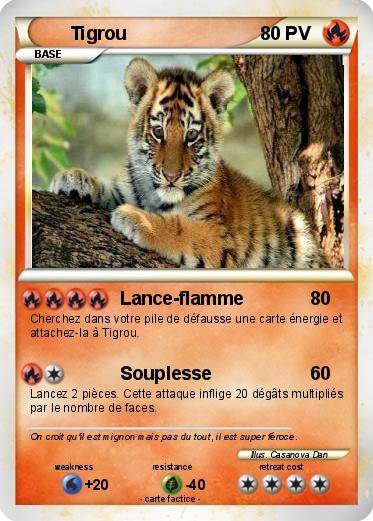 Pokemon Tigrou