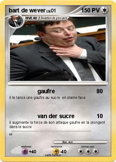 Pokemon bart de wever