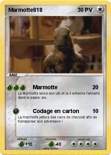 Pokemon Marmotte818