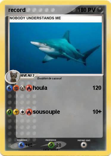Pokemon record