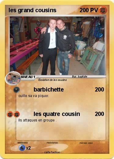 Pokemon les grand cousins