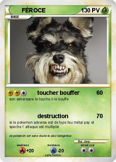 Pokemon FÉROCE