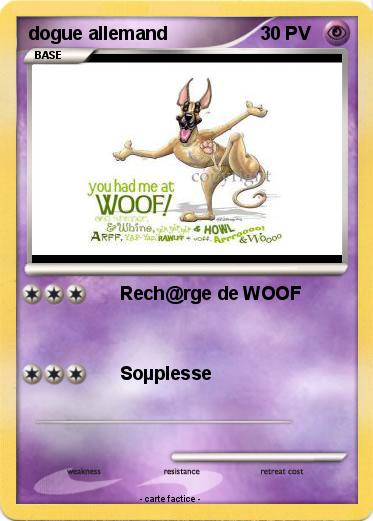 Pokemon dogue allemand
