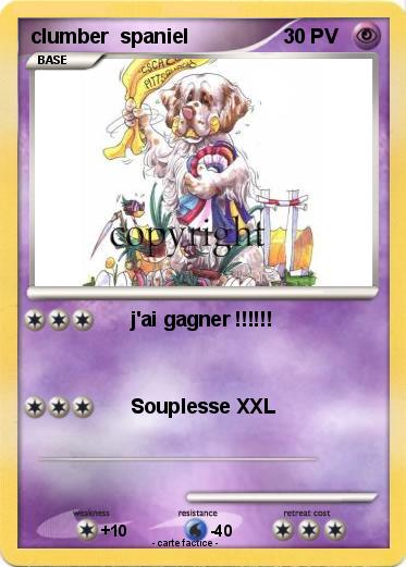 Pokemon clumber  spaniel