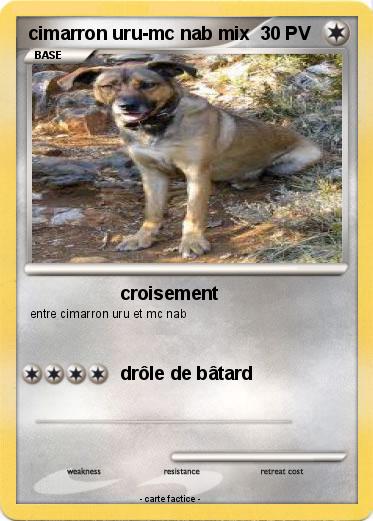 Pokemon cimarron uru-mc nab mix