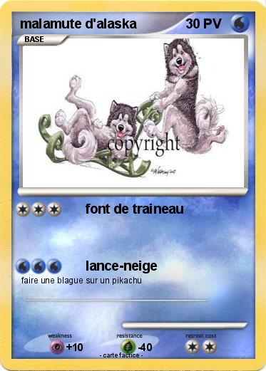 Pokemon malamute d'alaska