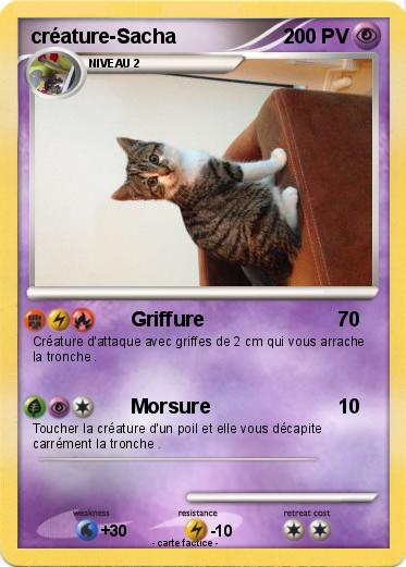 Pokemon créature-Sacha