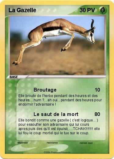 Pokemon La Gazelle