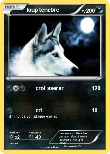 Pokemon loup tenebre