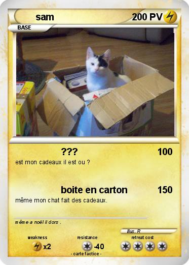 Pokemon sam