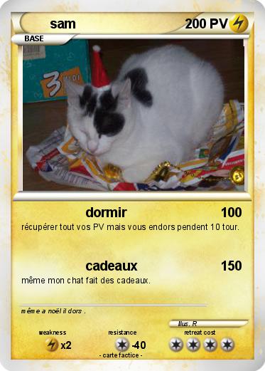 Pokemon sam
