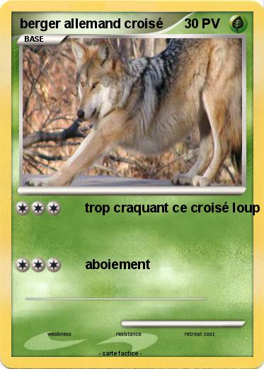 Pokemon berger allemand croisé