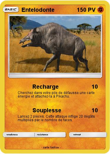Pokemon Entelodonte