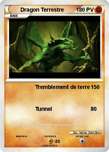 Pokemon Dragon Terrestre
