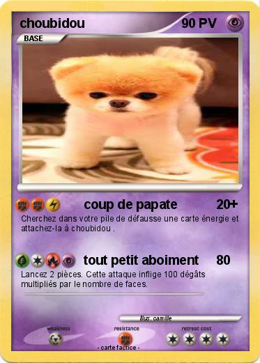 Pokemon choubidou
