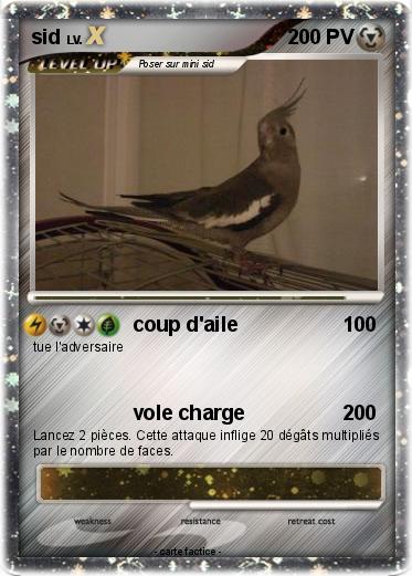 Pokemon sid