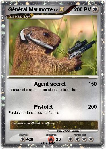 Pokemon Général Marmotte
