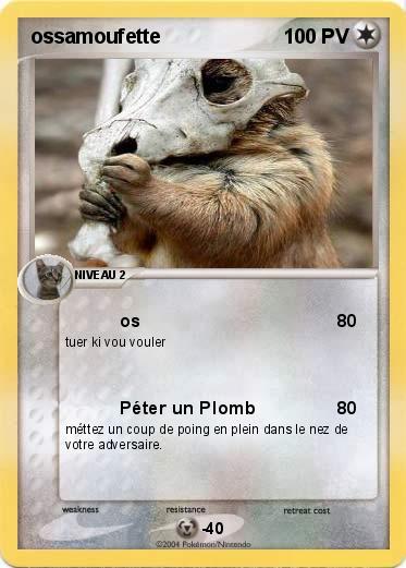 Pokemon ossamoufette