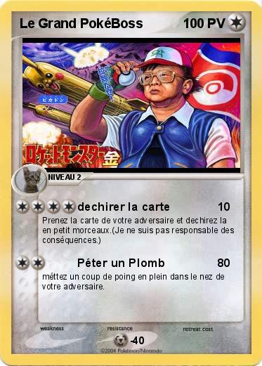 Pokemon Le Grand PokéBoss