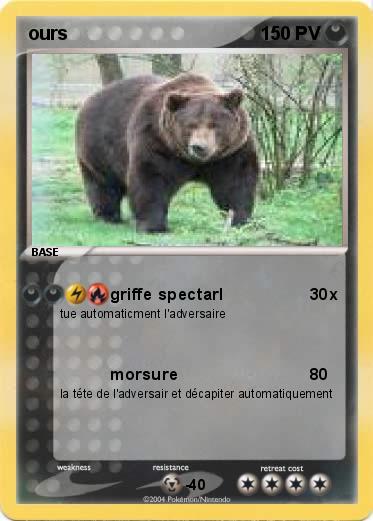 Pokemon ours 