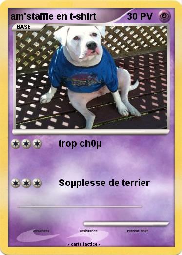 Pokemon am'staffie en t-shirt