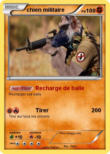 Pokemon chien militaire