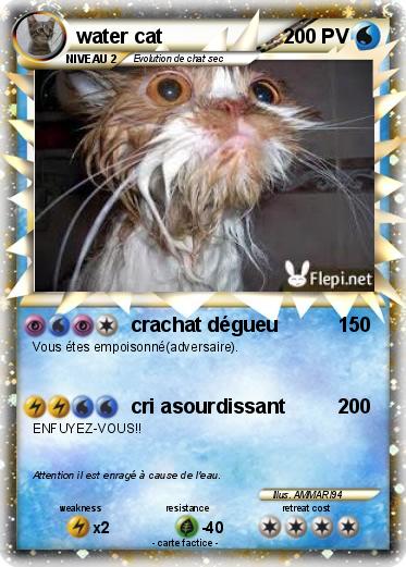 Pokemon water cat