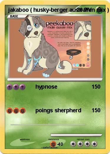 Pokemon jakaboo ( husky-berger australien mix )