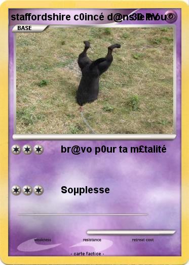 Pokemon staffordshire c0incé d@ns le trou