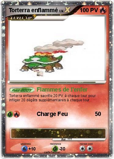 Pokemon Torterra enflammé