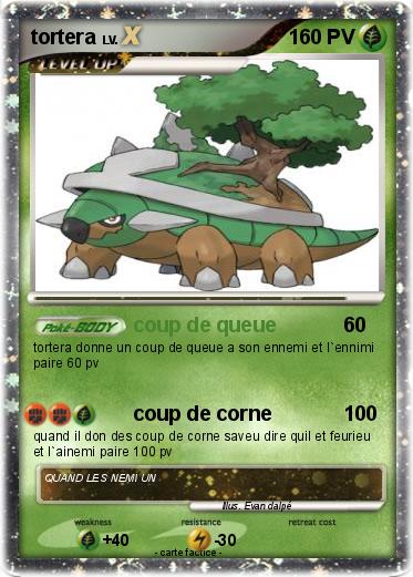 Pokemon tortera