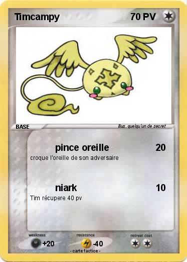 Pokemon Timcampy