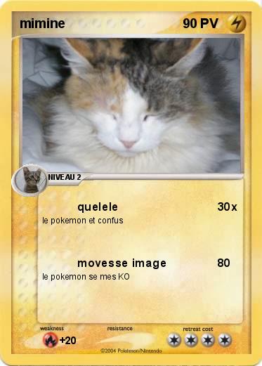 Pokemon mimine
