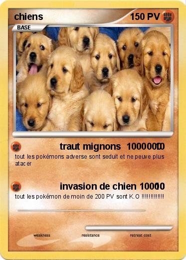 Pokemon chiens