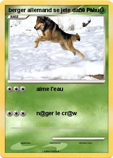 Pokemon berger allemand se jete dans l'eau