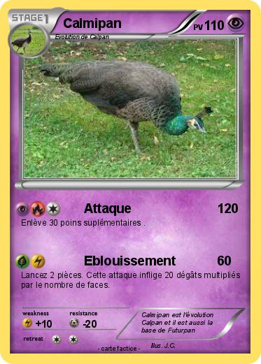 Pokemon Calmipan