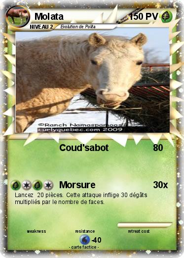 Pokemon Molata