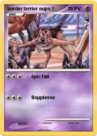 Pokemon border terrier oups !!