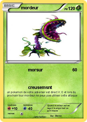 Pokemon mordeur