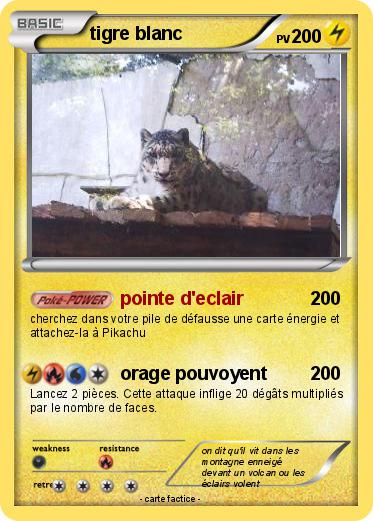Pokemon tigre blanc