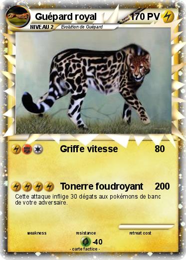 Pokemon Guépard royal